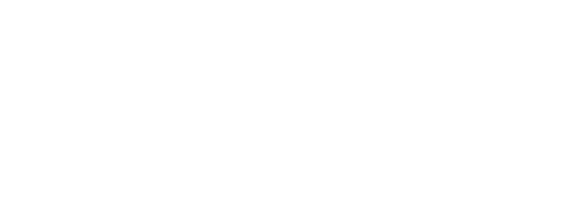 PESOMAX