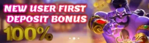 deposit bonus 100%